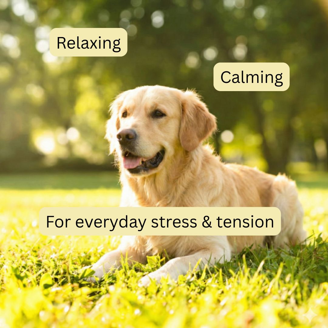 Calm & Relax Supplement