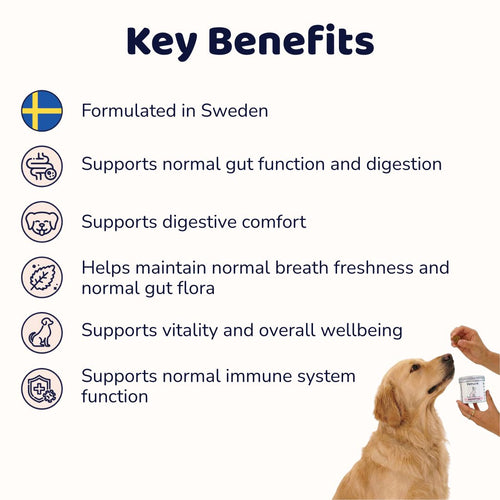 Digestive Supplement