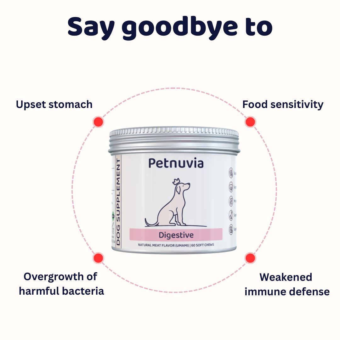 Digestive Supplement