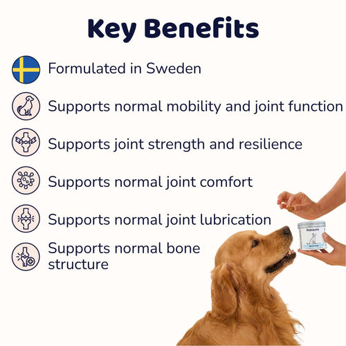 Bone & Joint Supplement