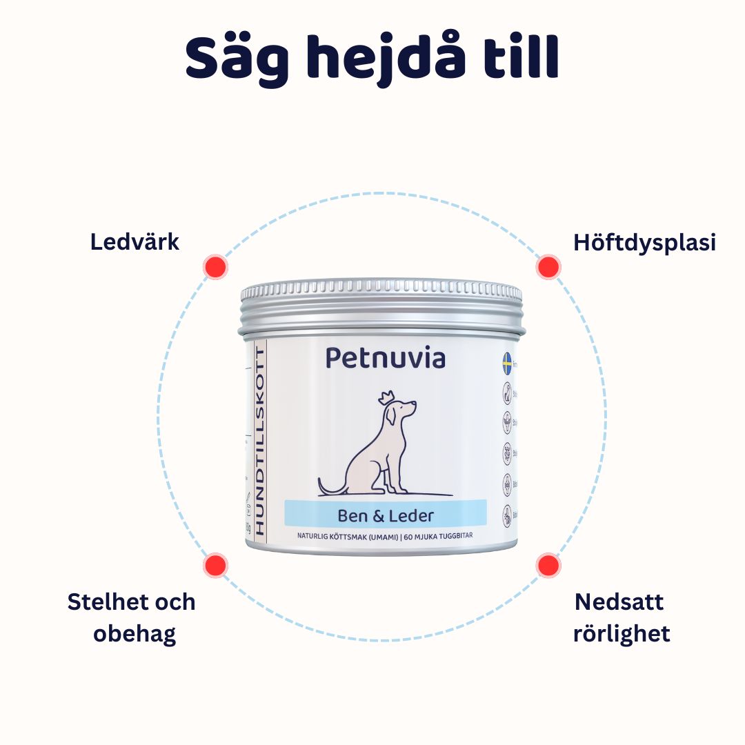 Bone & Joint Supplement