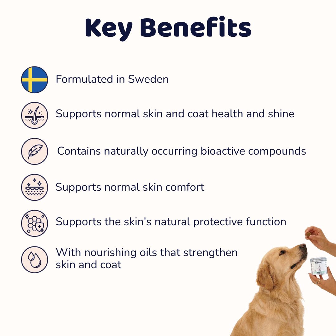 Skin & Coat Supplement