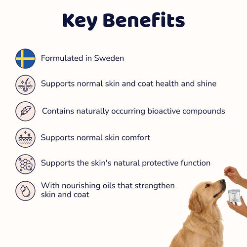 Skin & Coat Supplement