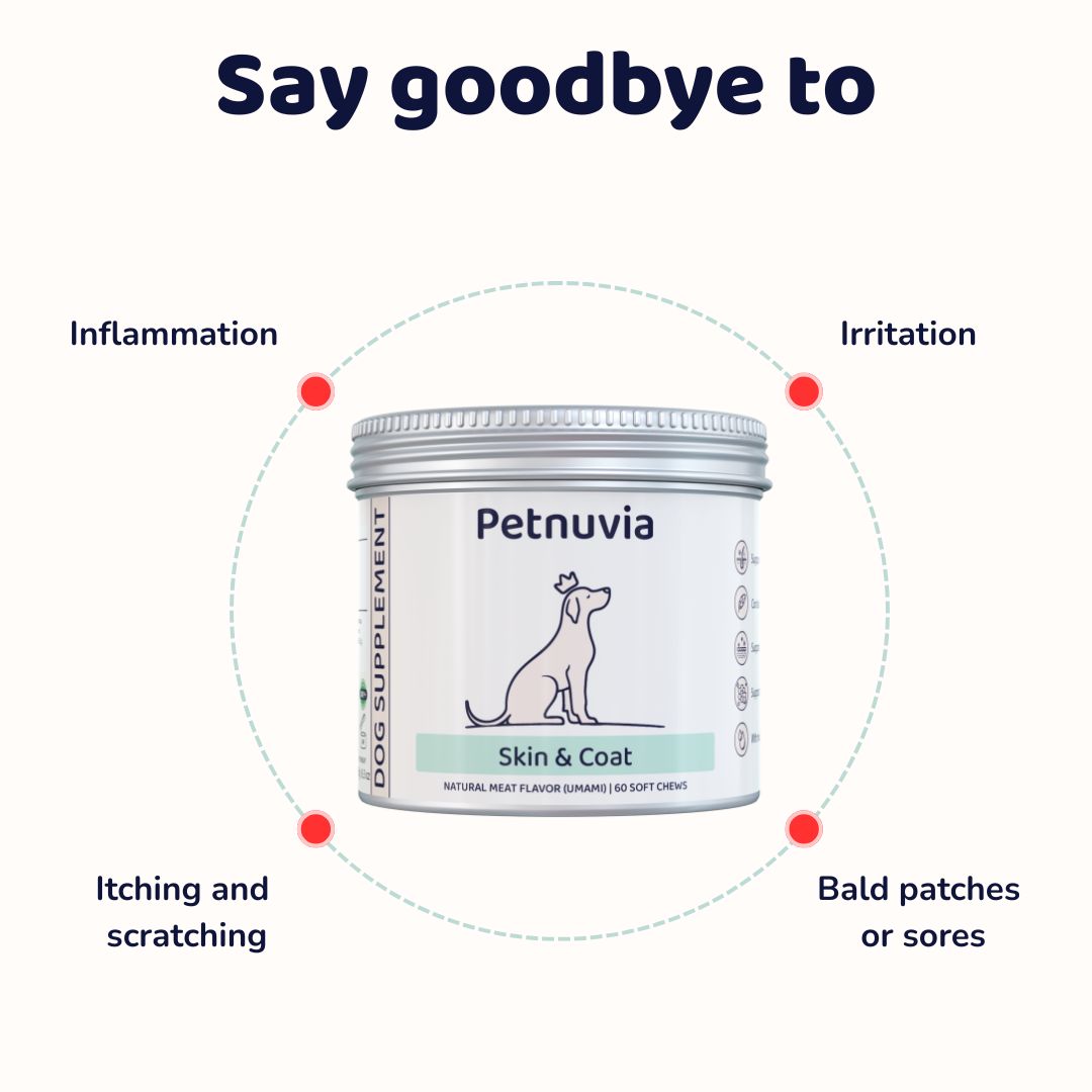 Skin & Coat Supplement