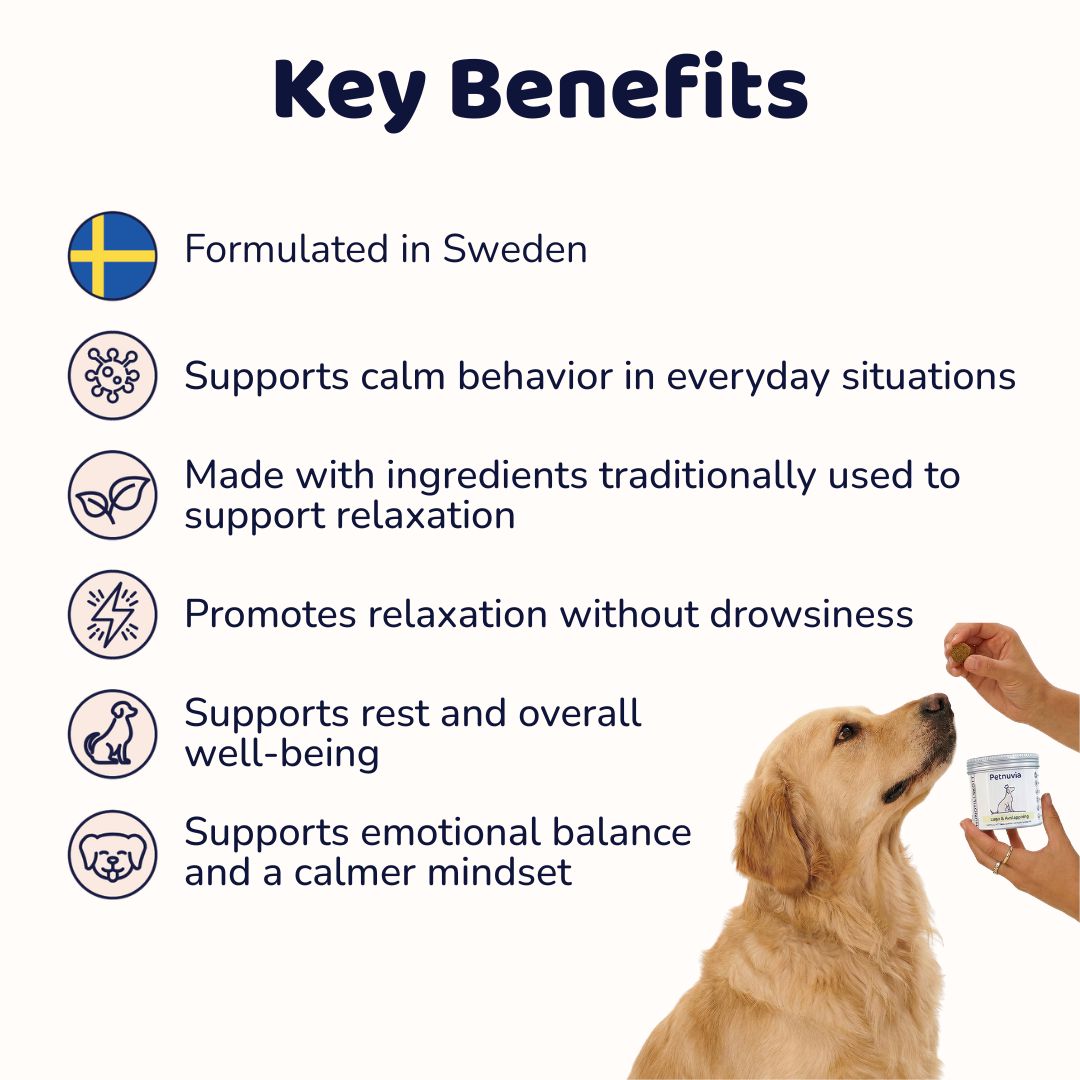 Calm & Relax Supplement