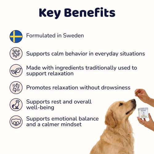 Calm & Relax Supplement
