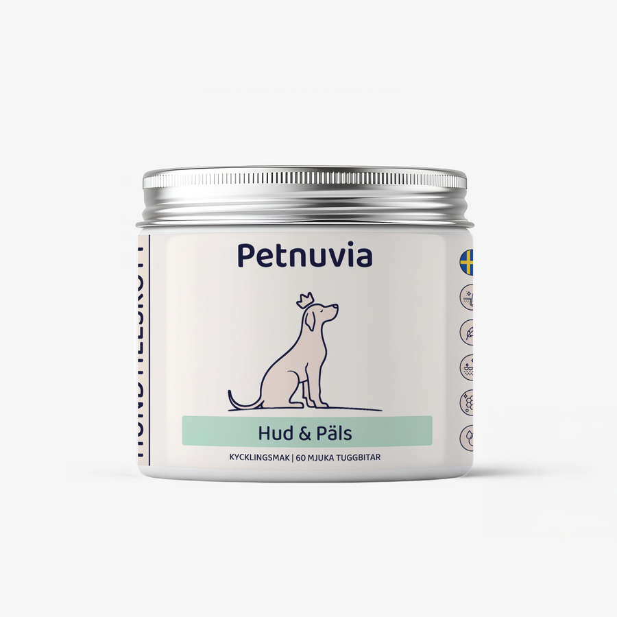 Skin & Coat Supplement