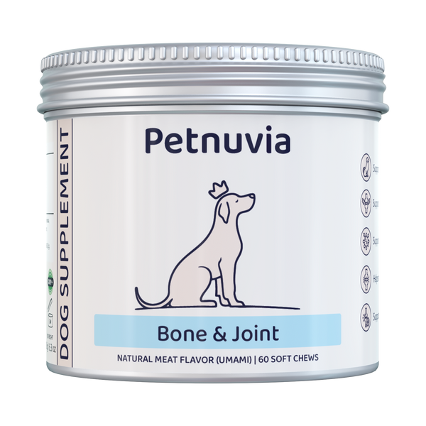 Bone & Joint