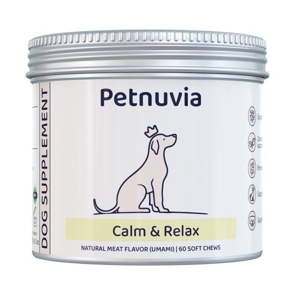 Calm & Relax