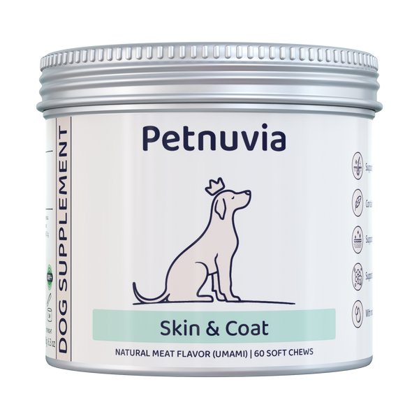 Skin & Coat