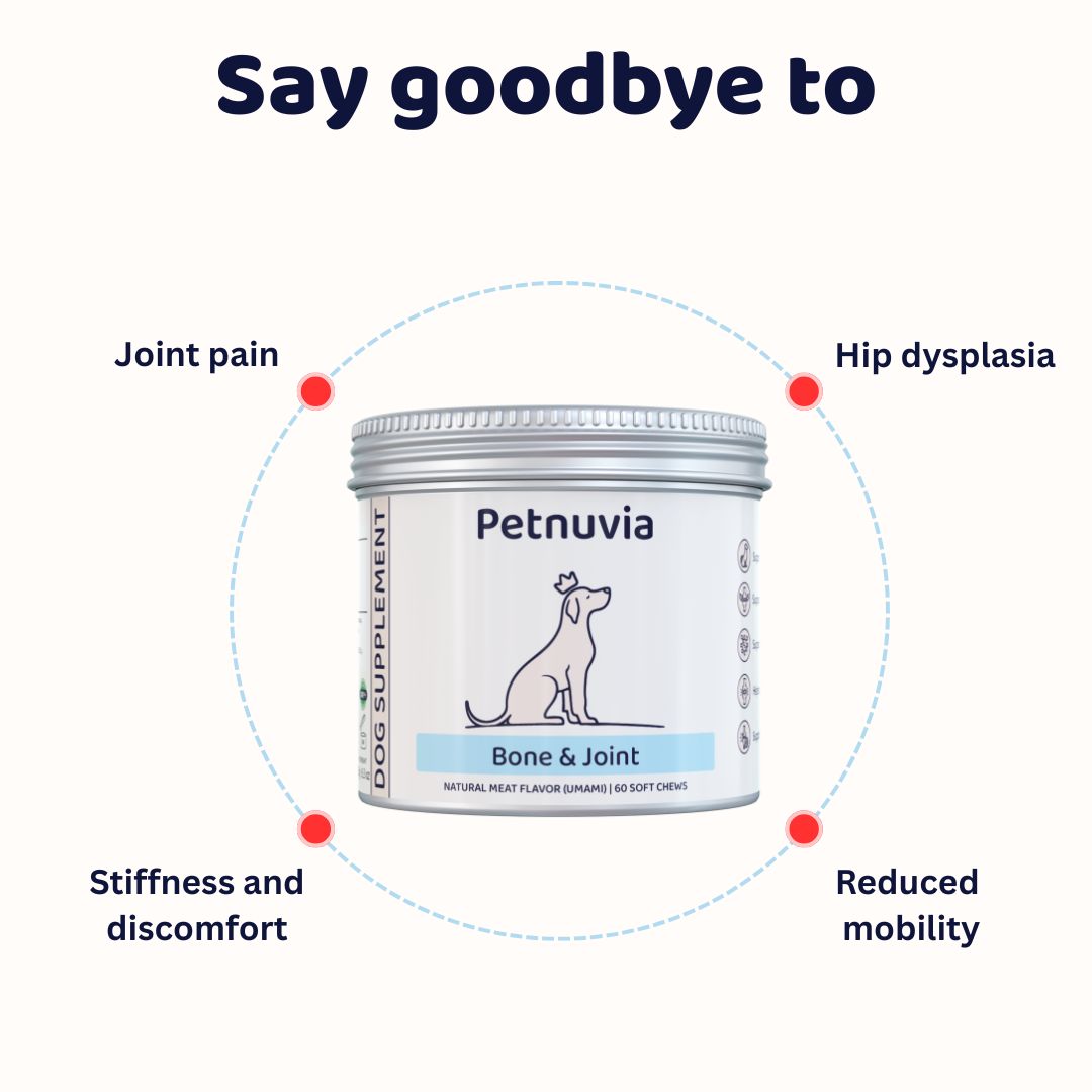 Bone & Joint Supplement