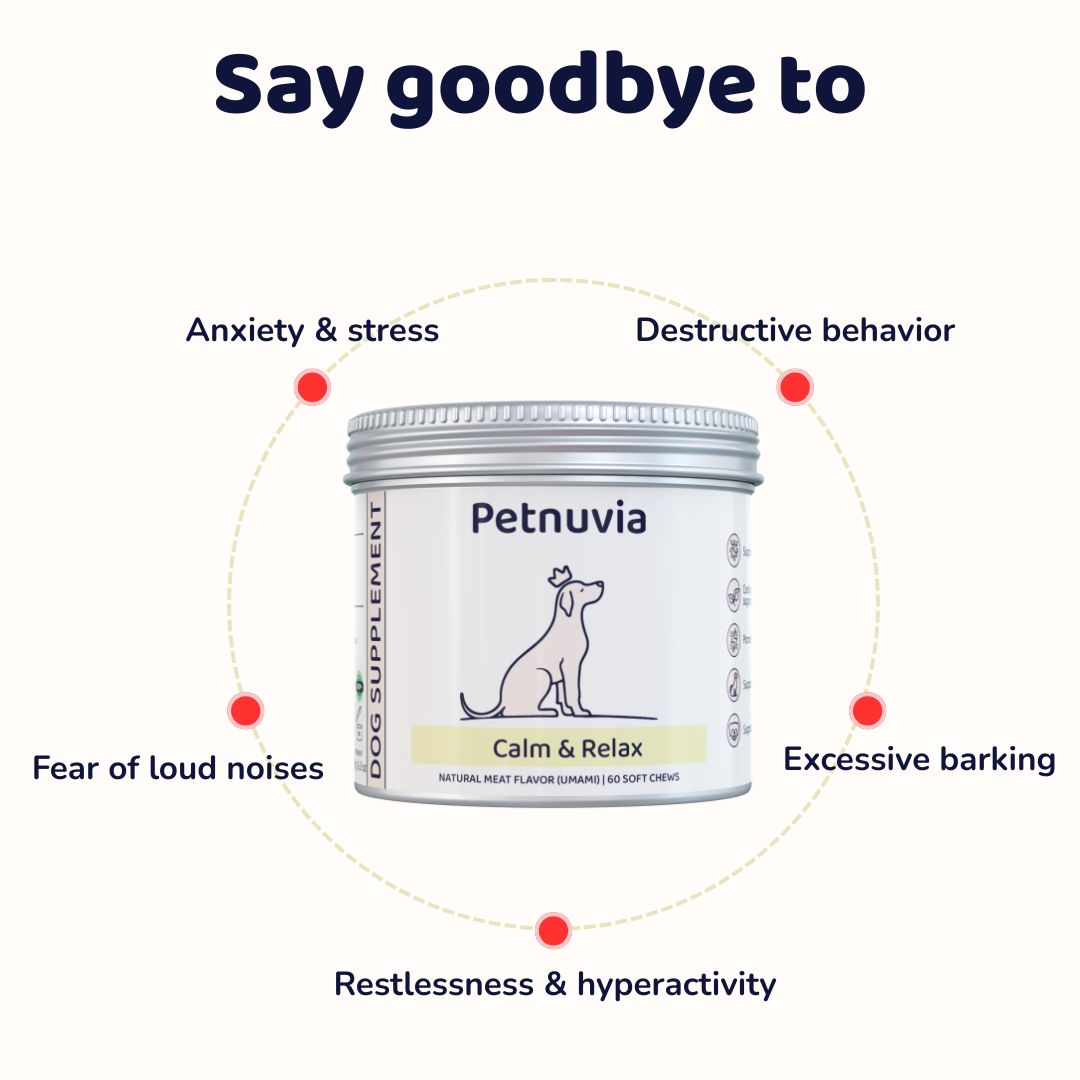 Calm & Relax Supplement