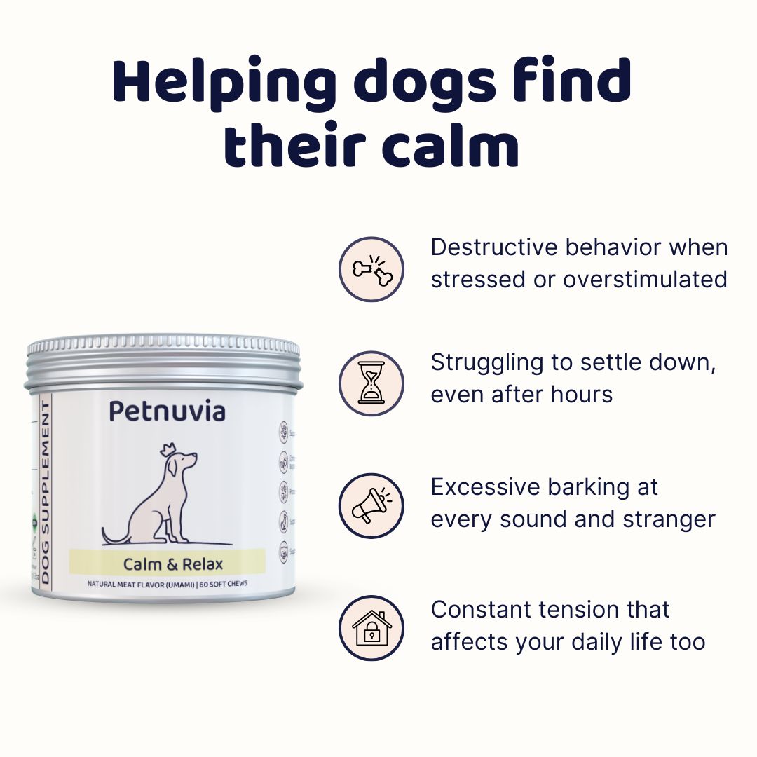 Calm & Relax Supplement
